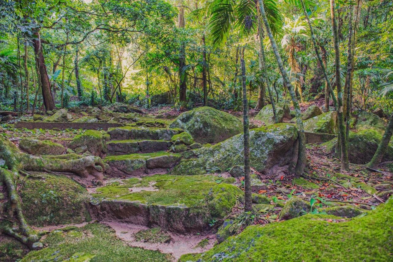 Sitio Serra Orgaos Com Rio Aguas Cristalinas Guapimirim Exteriér fotografie